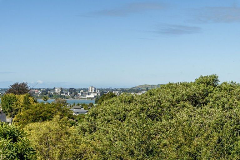 Photo of property in 20 Brookfield Terrace, Brookfield, Tauranga, 3110