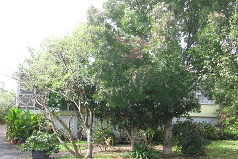 Photo of property in 44 Chilcott Road, Henderson, Auckland, 0612