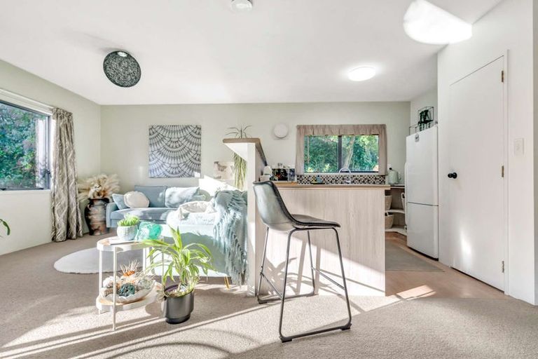 Photo of property in 409a Maungatapu Road, Maungatapu, Tauranga, 3112