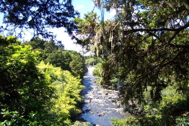 Photo of property in 3264 State Highway 12, Taheke, Kaikohe, 0473