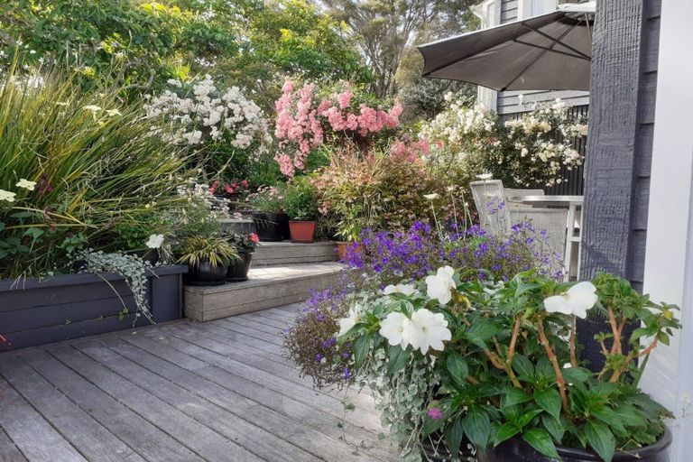 Photo of property in 41 Melville Drive, Whakatane, 3120