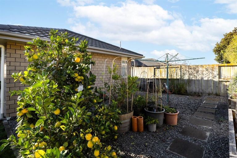 Photo of property in 39 Cumberland Drive, Flagstaff, Hamilton, 3210