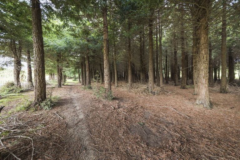 Photo of property in 259 Kahuterawa Road, Linton, Palmerston North, 4472