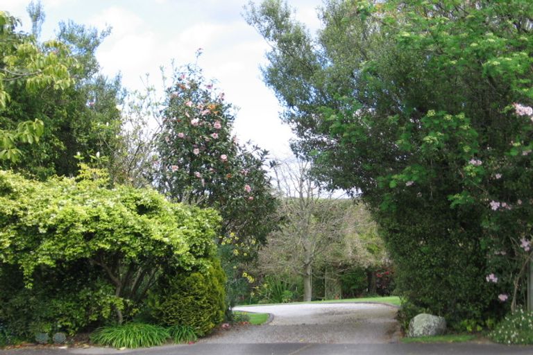 Photo of property in 63 Koha Road, Taupo, 3330