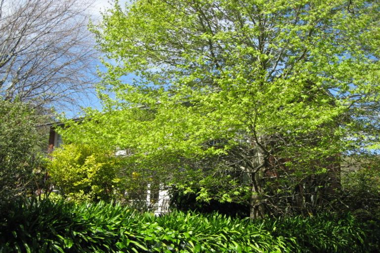 Photo of property in 10 Avon Terrace, The Wood, Nelson, 7010