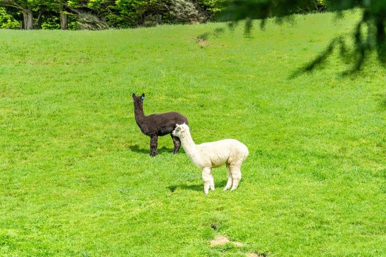 Photo of property in 20 Coroglen Rise, Pukerua Bay, 5026