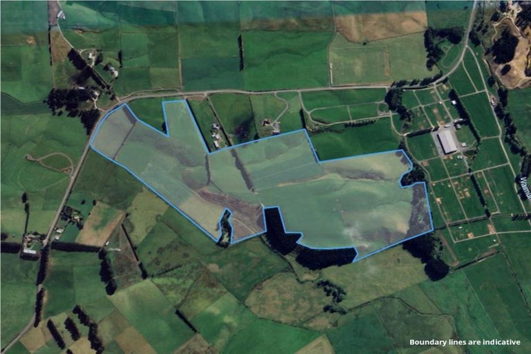 Photo of property in 669c Waimumu Road, Waimumu, Gore, 9774