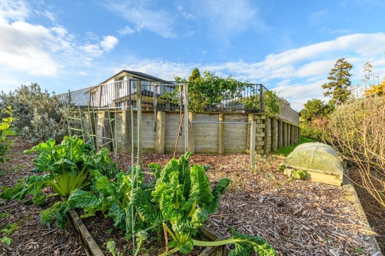 Photo of property in 356 Ngatai Road, Bellevue, Tauranga, 3110