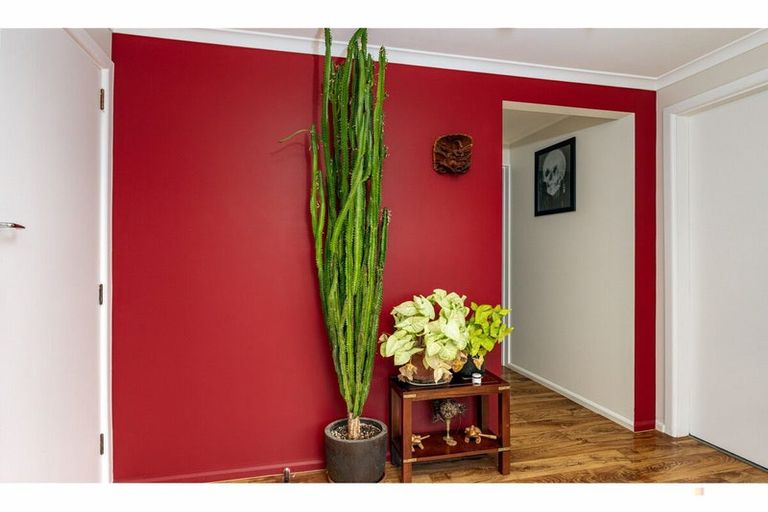 Photo of property in 238 Talbot Street, Geraldine, 7930