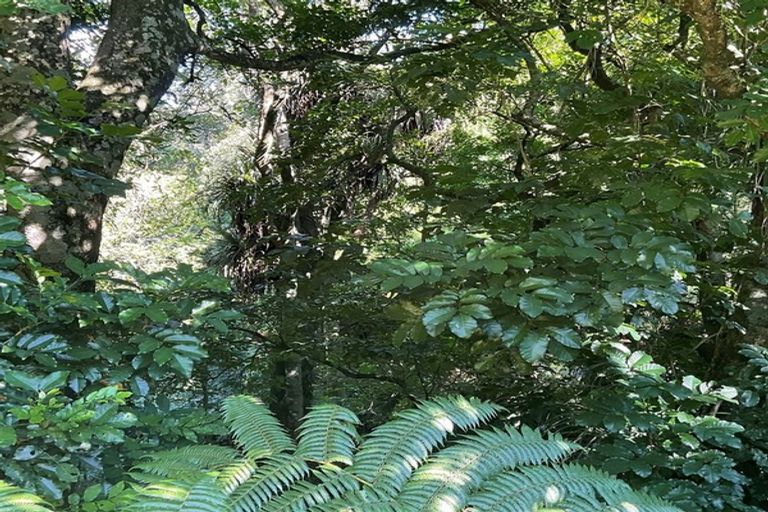 Photo of property in 14 Kereru Place, Upper Vogeltown, New Plymouth, 4310