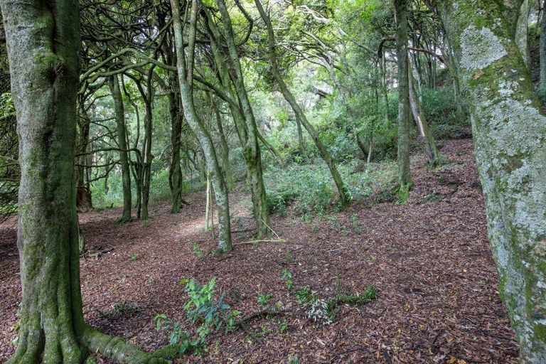 Photo of property in 137 Kiritaki Road, Dannevirke, 4972