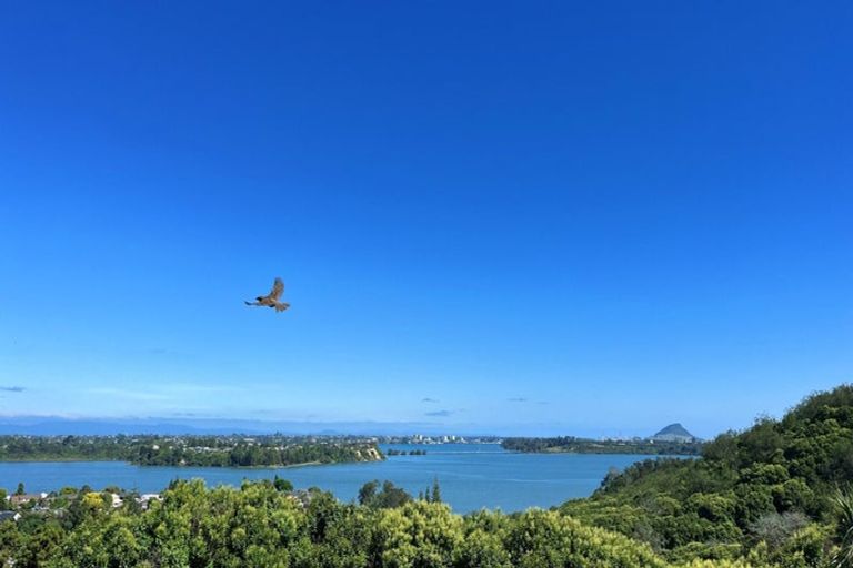 Photo of property in 52 Corinna Street, Welcome Bay, Tauranga, 3112