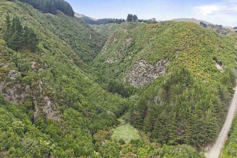 Photo of property in 106 Harrison Hill Road, Aokautere, 4471