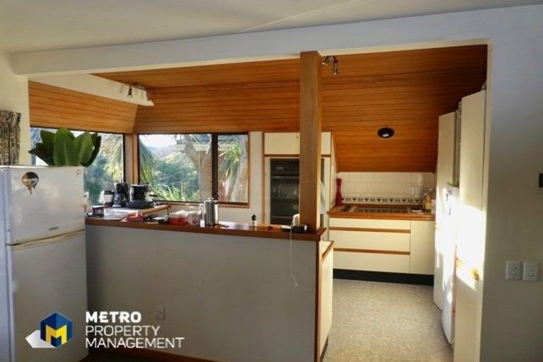 Photo of property in 43 Pacific Street, Roslyn, Dunedin, 9010