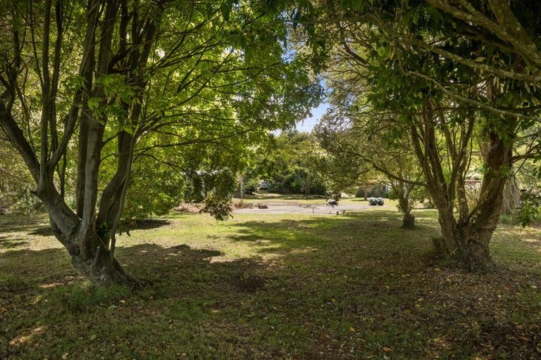 Photo of property in 49 Mangotahi Road, Thames, 3577