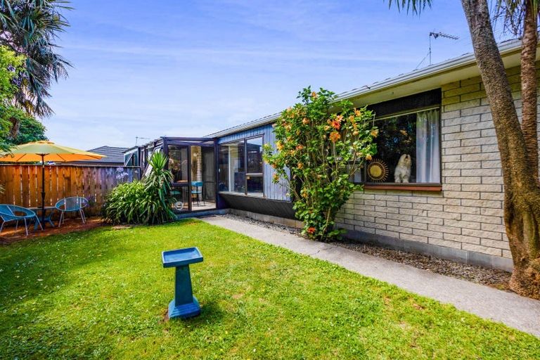 Photo of property in 4/12 Webster Street, Westown, New Plymouth, 4310