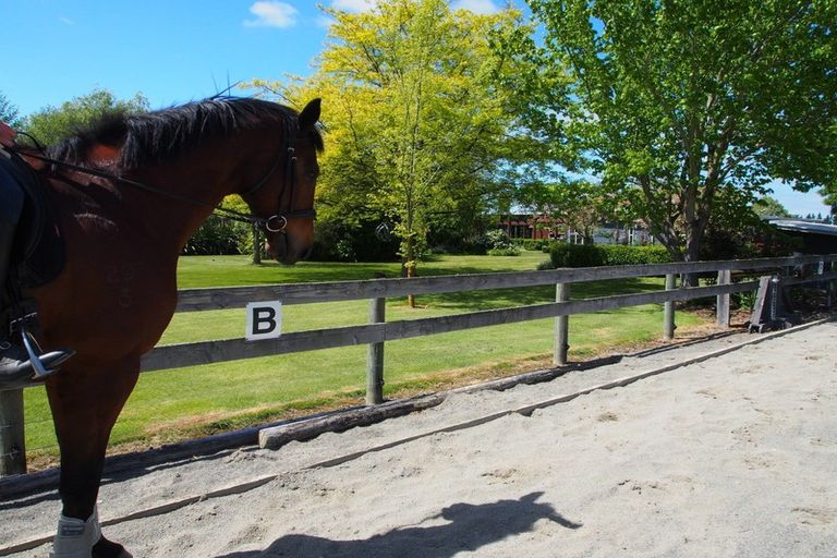 Photo of property in 100 Easterbrook Road, Fernside, Kaiapoi, 7691