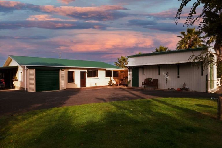 Photo of property in 18 Alpha Street, Cambridge, 3434