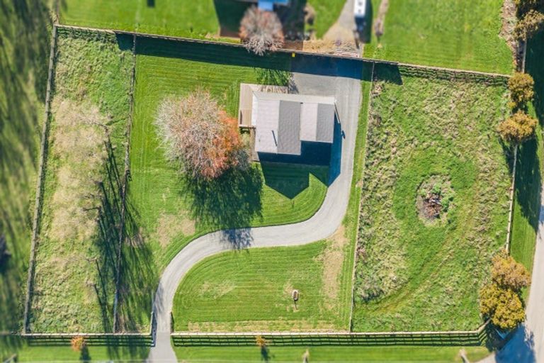 Photo of property in 8 Whelans Road, Levin, 5571