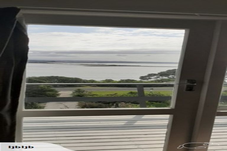 Photo of property in 264 Ohiwa Harbour Road, Waiotahe, Opotiki, 3198