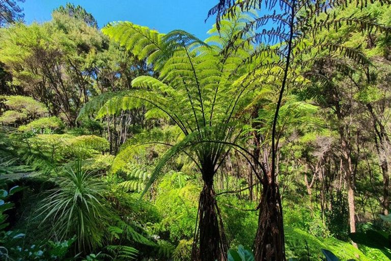 Photo of property in 46 Schoolhouse Bay Road, Kawau Island, 0920