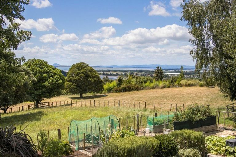 Photo of property in 26 Woodland Road, Tahawai, Katikati, 3170