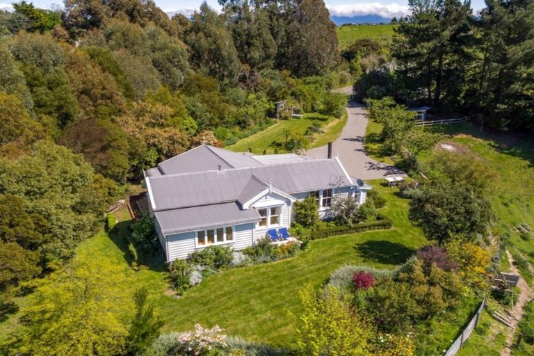 Photo of property in 24 Nikau Heights, Lansdowne, Masterton, 5810