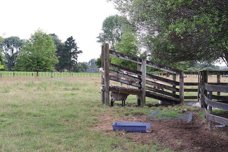 Photo of property in 511b Ngaruawahia Road, Te Kowhai, Hamilton, 3288