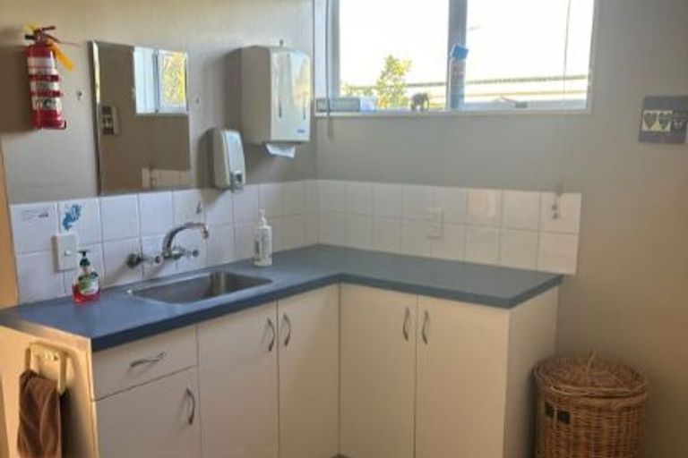 Photo of property in 17 Airport Drive, Milson, Palmerston North, 4414