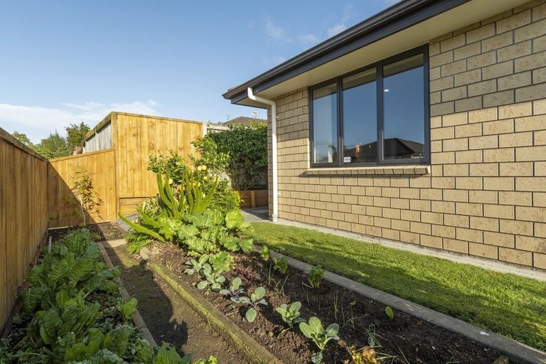 Photo of property in 24 Annandale Drive, Pyes Pa, Tauranga, 3112