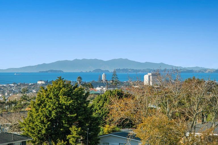 Photo of property in 2/3 Coronation Road, Hillcrest, Auckland, 0627