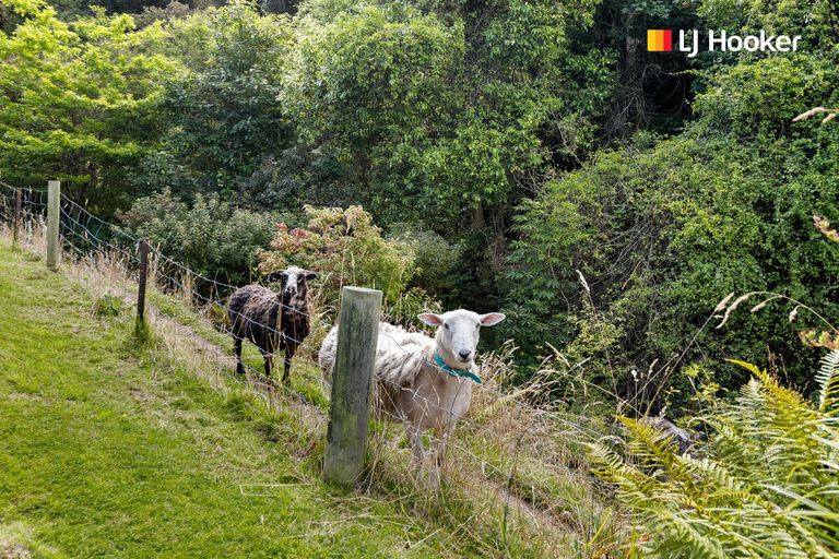 Photo of property in 4a Ronay Street, Bradford, Dunedin, 9011