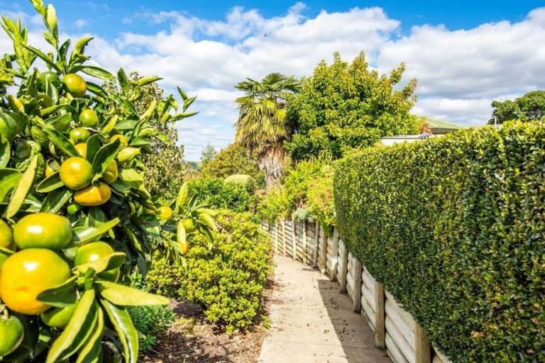 Photo of property in 25 Plateau Heights, Mount Maunganui, 3116