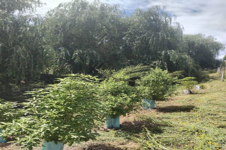 Photo of property in 41 Harley Ridge, Upper Moutere, 7175