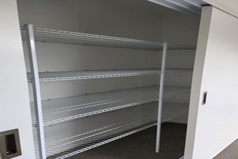 Photo of property in 17 Lemonwood Way, Woodridge, Wellington, 6037