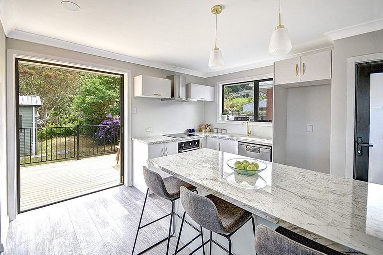 Photo of property in 111 Norwood Street, Normanby, Dunedin, 9010