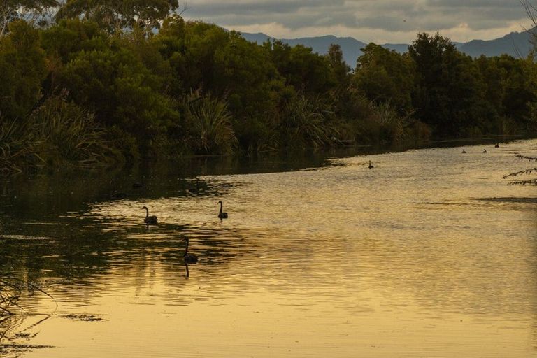 Photo of property in 21a Hardings Road, Riverlands, Blenheim, 7274