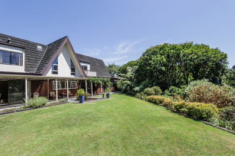 Photo of property in 79 Belvedere Avenue, Waikanae, 5036