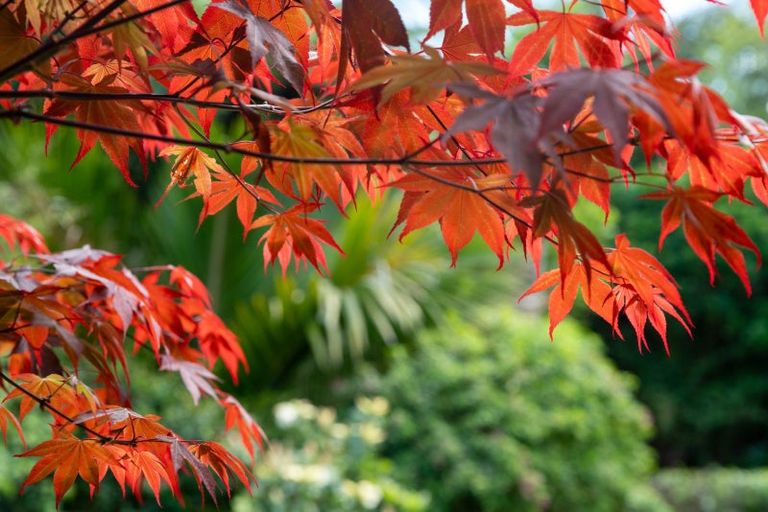 Photo of property in 101 Huia Street, Waikanae, 5391