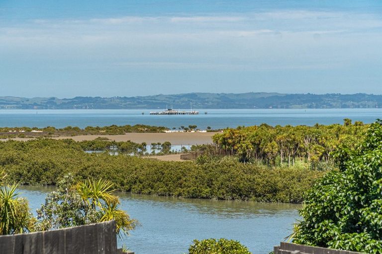 Photo of property in 12 Pureora Place, Clendon Park, Auckland, 2103