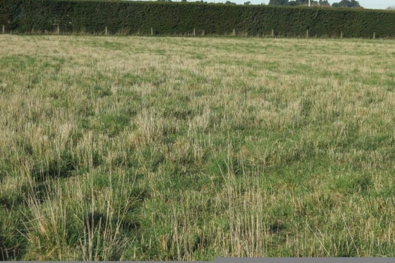 Photo of property in 956 Oxford Road, Fernside, Rangiora, 7471