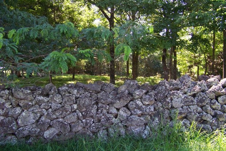 Photo of property in 3264 State Highway 12, Taheke, Kaikohe, 0473