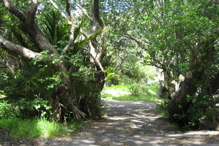 Photo of property in 46 Beach Valley Road, Piha, New Lynn, 0772