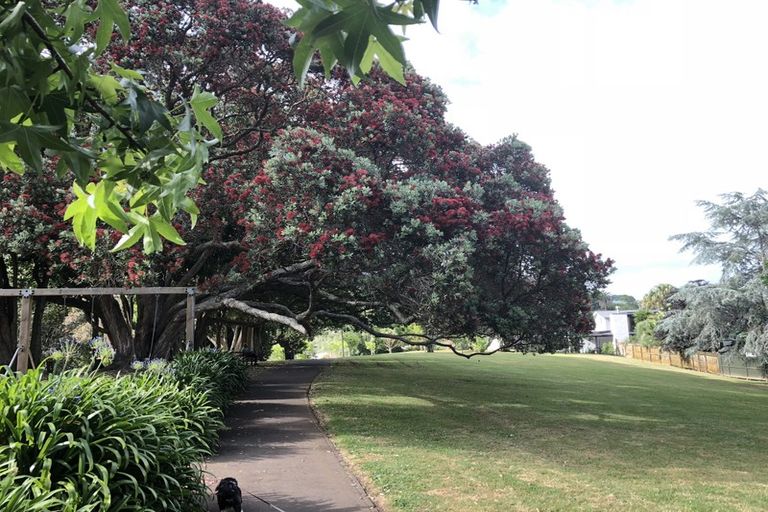 Photo of property in 3/47 Watling Street, Epsom, Auckland, 1023