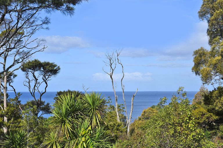 Photo of property in 2/105 Leigh Road, Leigh, Warkworth, 0985