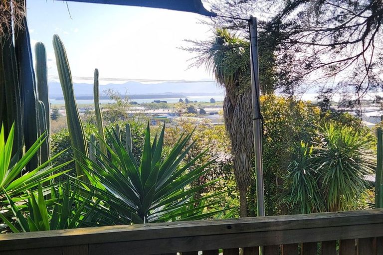 Photo of property in 16 Douglas Road, Wakatu, Nelson, 7011