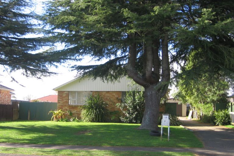 Photo of property in 12 Sefton Crescent, Chartwell, Hamilton, 3210