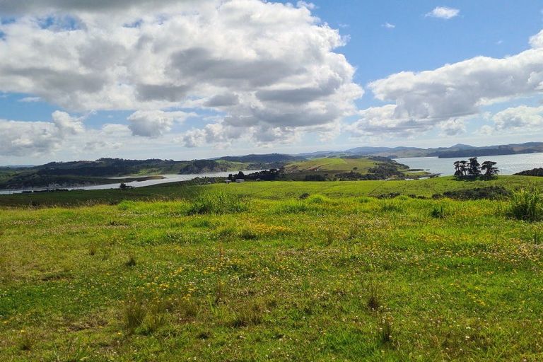 Photo of property in 304 Arapaoa Road, Tinopai, Matakohe, 0593