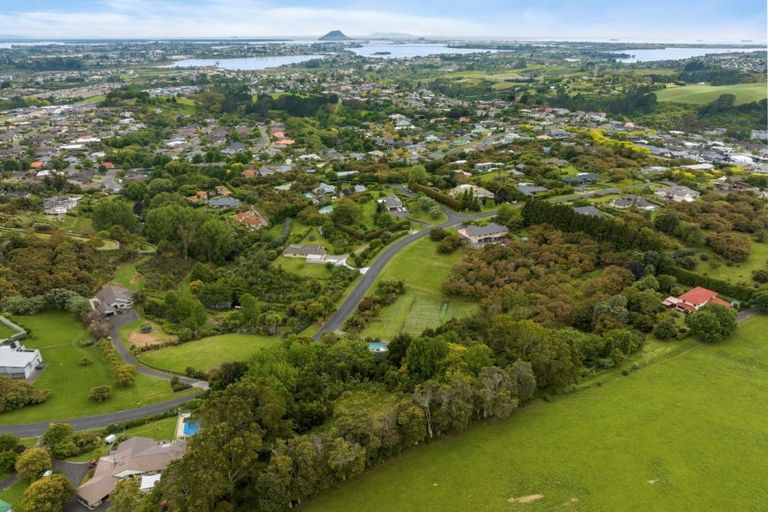 Photo of property in 3175l Ohauiti Road, Ohauiti, Tauranga, 3173