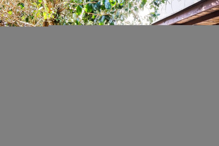 Photo of property in 21 Mary Street, Masterton, 5810